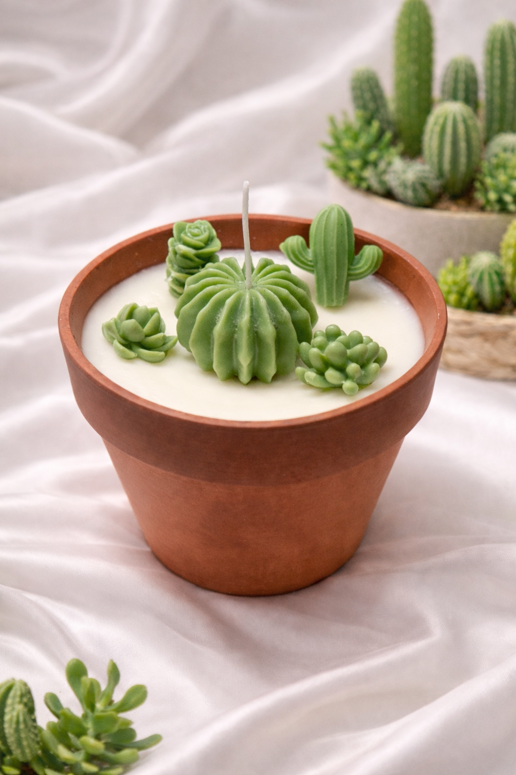 Cactus Garden Duftkerze 🌵✨